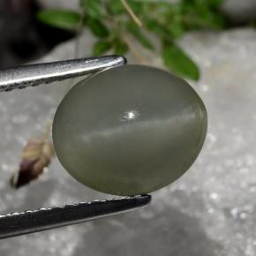 Quartz cat's eye gris naturelle coupe ovale, 2,99 ct, translucide