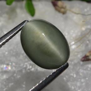 Quartz Œil de Chat Vert naturelle Coupe ovale, 2.86 ct, Opaque