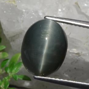 Quartz Œil de Chat Gris foncé naturelle Coupe ovale, 5.87 ct, Opaque