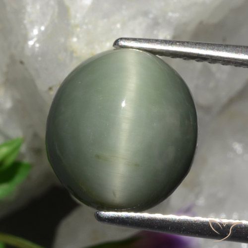 5.48ct Naturel Gris moyen Quartz Œil de Chat, ovale, Opaque