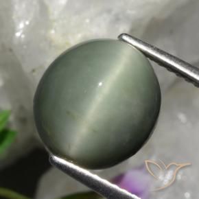Quartz Œil de Chat Gris moyen naturelle ovale, 5.48 ct, Opaque