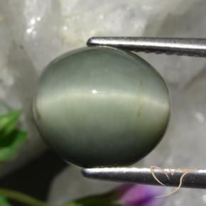 Quartz Œil de Chat Gris moyen naturelle ovale, 5.48 ct, Opaque
