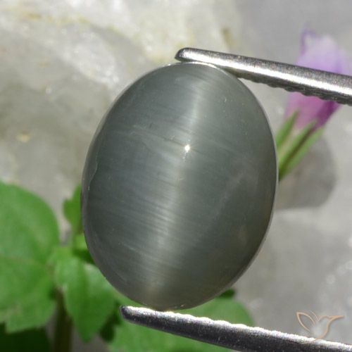 4.89ct Naturel Gris moyen Oeil de Chat Quartz, ovale, Opaque