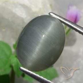 Quartz Œil de Chat Gris moyen naturelle ovale, 4.89 ct, Opaque