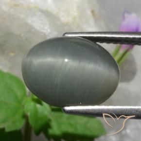 Quartz Œil de Chat Gris moyen naturelle ovale, 4.89 ct, Opaque