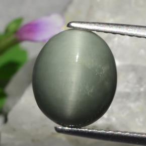 Quartz cat's eye vert naturelle coupe ovale, 3,01 ct, opaque