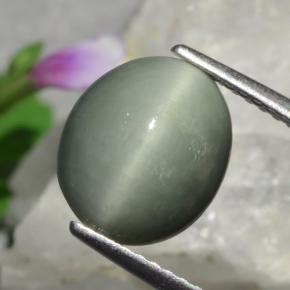 Quartz cat's eye vert naturelle coupe ovale, 3,01 ct, opaque