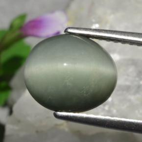 Quartz cat's eye vert naturelle coupe ovale, 3,01 ct, opaque
