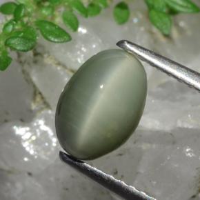 Quartz œil de chat vert naturelle coupe ovale, 1,78 ct, opaque