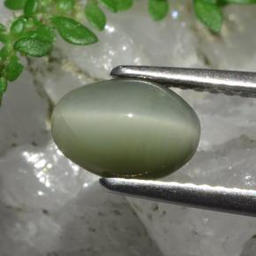 Quartz œil de chat vert naturelle coupe ovale, 1,78 ct, opaque