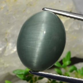 Quartz œil de chat vert naturelle coupe ovale, 8,20 ct, opaque
