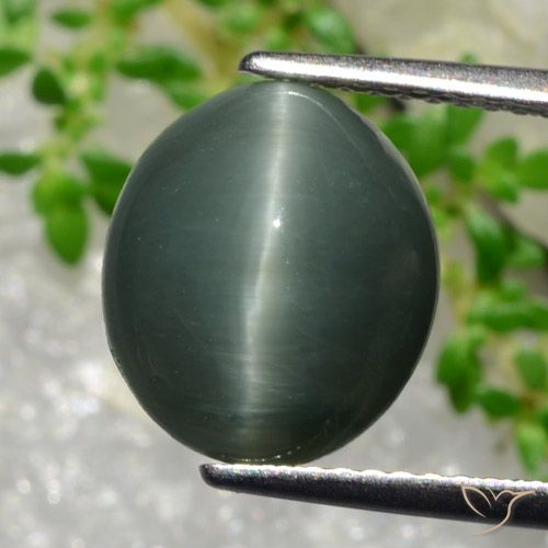 Quartz Œil de Chat Gris verdâtre naturelle Coupe ovale, 5.66 ct, Opaque