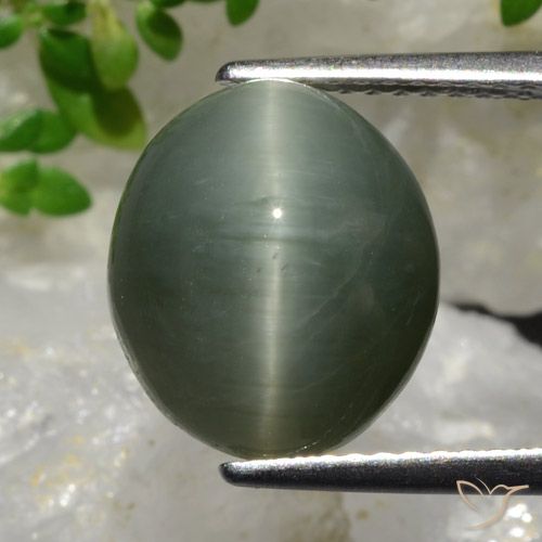6.98ct Naturel Gris moyen Quartz Œil de Chat, ovale, Opaque