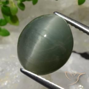Quartz Œil de Chat Gris moyen naturelle ovale, 6.98 ct, Opaque