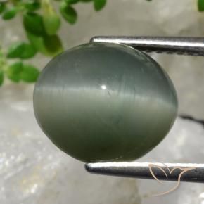 Quartz Œil de Chat Gris moyen naturelle ovale, 6.98 ct, Opaque
