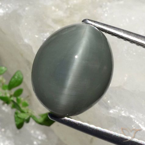 Quartz Œil de Chat Gris verdâtre naturelle Coupe ovale, 6.17 ct, Opaque