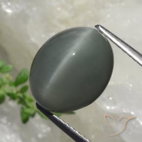 Quartz Œil de Chat Gris verdâtre naturelle Coupe ovale, 6.17 ct, Opaque