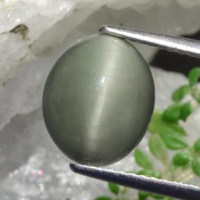 Quartz Œil de Chat Vert naturelle Coupe ovale, 3.68 ct, Opaque