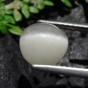 Quartz Œil de Chat Crème naturelle Coupe ovale, 2.79 ct, Opaque
