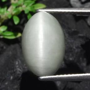 Quartz Œil de Chat Gris léger naturelle Coupe ovale, 7.75 ct, Opaque
