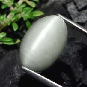 Quartz Œil de Chat Gris léger naturelle Coupe ovale, 7.75 ct, Opaque
