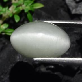 Quartz Œil de Chat Gris léger naturelle Coupe ovale, 7.75 ct, Opaque
