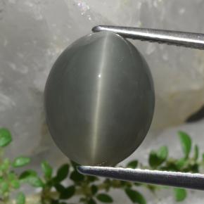 Quartz Œil de Chat Vert naturelle Coupe ovale, 8.58 ct, Opaque