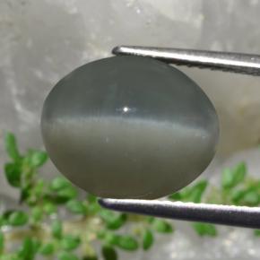 Quartz Œil de Chat Vert naturelle Coupe ovale, 8.58 ct, Opaque
