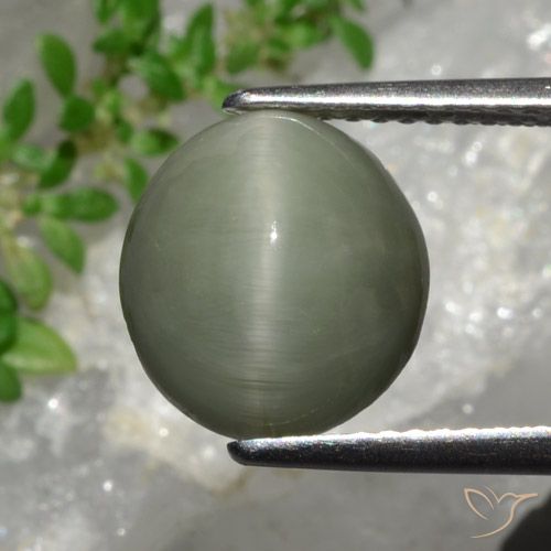 4.44ct Naturel Gris vert Quartz Œil de Chat, ovale, Opaque