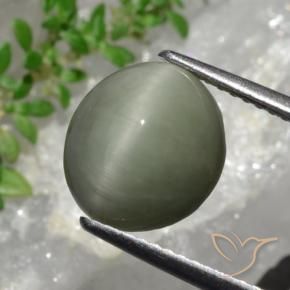 Quartz Œil de Chat Gris vert naturelle ovale, 4.44 ct, Opaque