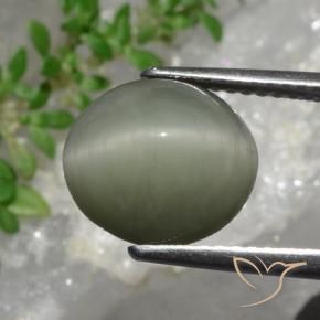 Quartz Œil de Chat Gris vert naturelle ovale, 4.44 ct, Opaque