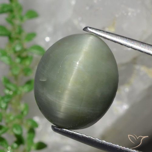 6.13ct Naturel Vert moyen Quartz Œil de Chat, ovale, Opaque