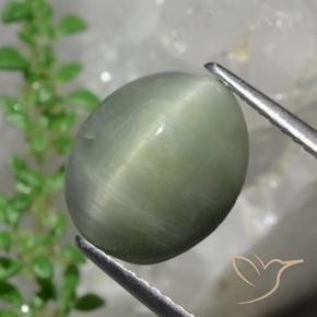 Quartz Œil de Chat Vert moyen naturelle ovale, 6.13 ct, Opaque