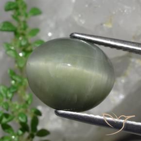 Quartz Œil de Chat Vert moyen naturelle ovale, 6.13 ct, Opaque