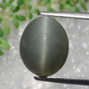 Quartz Œil de Chat Gris verdâtre naturelle Coupe ovale, 3.22 ct, Opaque