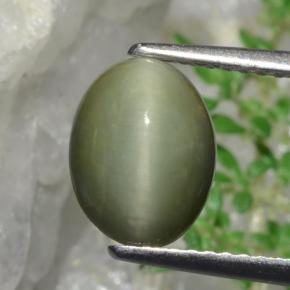 Quartz Œil de Chat Vert naturelle Coupe ovale, 1.90 ct, Opaque