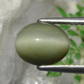Quartz Œil de Chat Vert naturelle Coupe ovale, 1.90 ct, Opaque