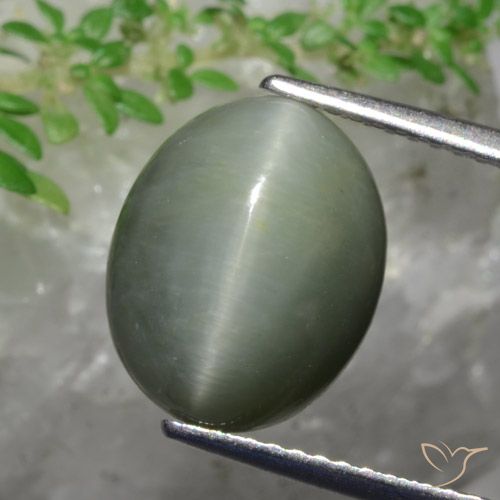 5.82ct Naturel Vert moyen Quartz Œil de Chat, ovale, Opaque