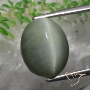 Quartz Œil de Chat Vert moyen naturelle ovale, 5.82 ct, Opaque