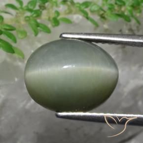 Quartz Œil de Chat Vert moyen naturelle ovale, 5.82 ct, Opaque