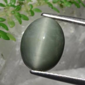 Quartz Œil de Chat Vert naturelle Coupe ovale, 3.36 ct, Opaque