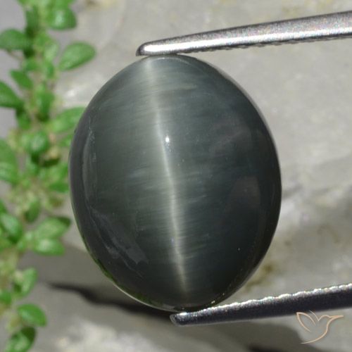 Quartz Œil de Chat Gris foncé naturelle Coupe ovale, 8.57 ct, Opaque