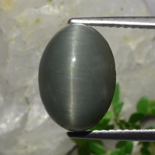 Quartz Œil de Chat Gris foncé naturelle Coupe ovale, 4.88 ct, Opaque