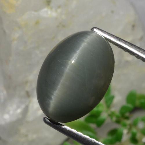 Quartz Œil de Chat Gris foncé naturelle Coupe ovale, 4.88 ct, Opaque