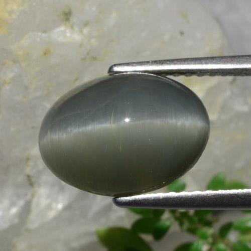 Quartz Œil de Chat Gris foncé naturelle Coupe ovale, 4.88 ct, Opaque