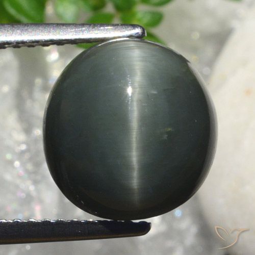 6.82ct Naturel Gris foncé Quartz Œil de Chat, ovale, Opaque