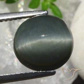 Quartz Œil de Chat Gris foncé naturelle ovale, 6.82 ct, Opaque