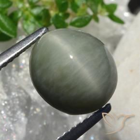 Quartz Œil de Chat Gris moyen naturelle ovale, 4.18 ct, Opaque