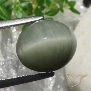 Quartz Œil de Chat Gris moyen naturelle ovale, 4.18 ct, Opaque