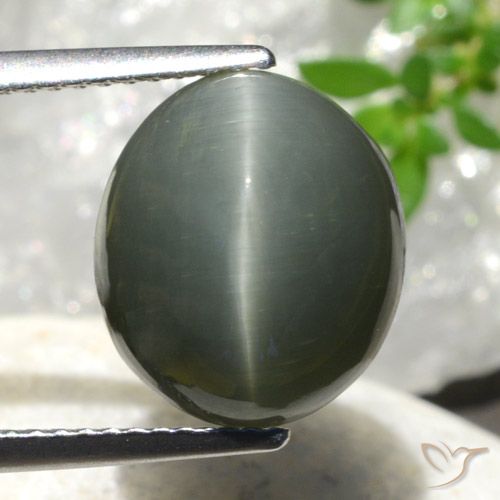 7.44ct Naturel Gris moyen Quartz Œil de Chat, ovale, Opaque